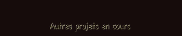 Autres projets en cours